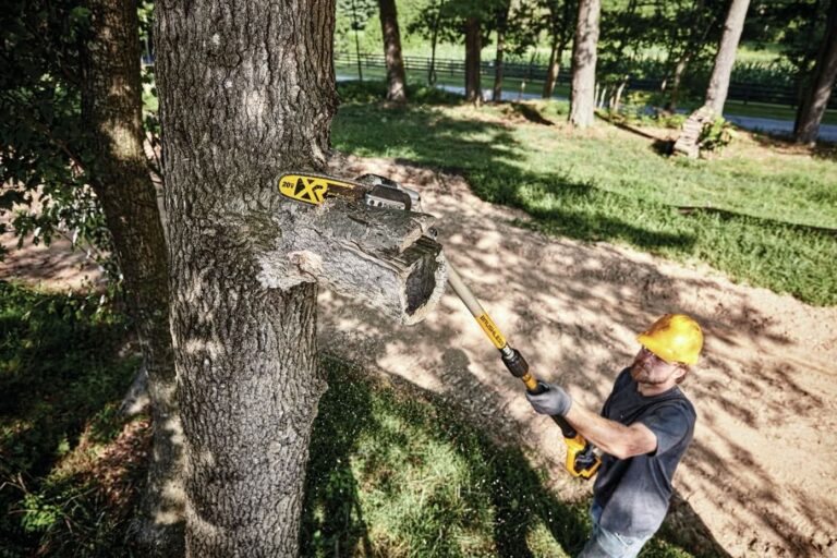 DeWalt DCPS620B 20V MAX XR Cordless Pole Saw, Tool Only