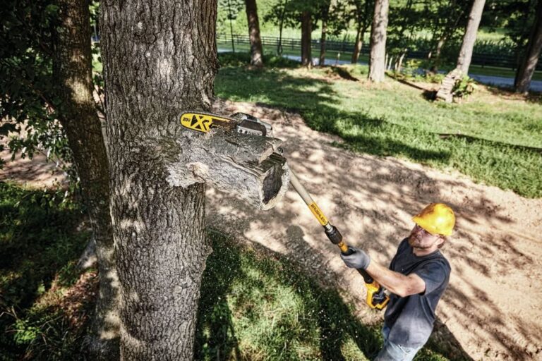 DeWalt DCPS620B 20V MAX XR Cordless Pole Saw, Tool Only (PROMO)