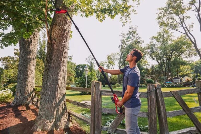 SKIL PWR CORE 20 8 IN. Pole Saw Kit