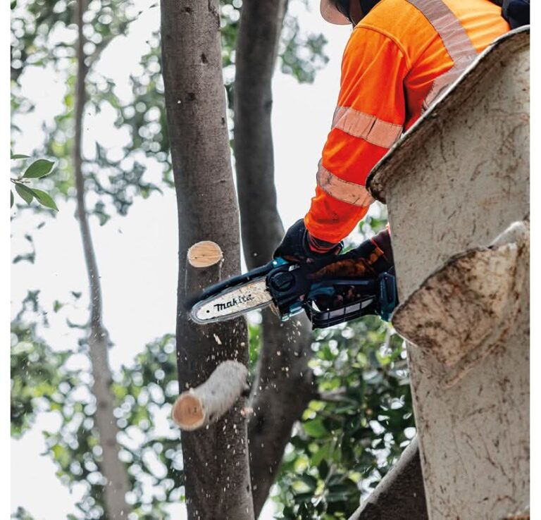 Makita XCU14SR1 18V LXT Lithium-Ion Brushless Cordless 6″ Pruning Saw Kit (2.0Ah)